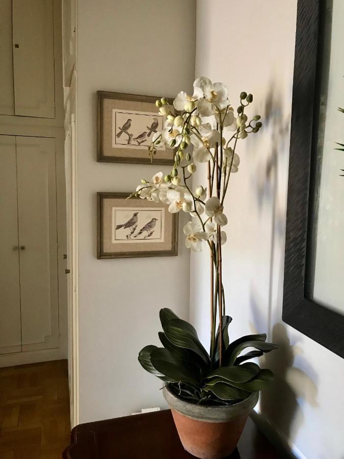 Magnifique 2 Pieces De 65M2 -Quartier Des Musiciens Appartement Nice Buitenkant foto